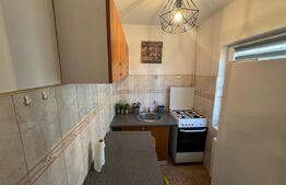 Garsoniera de inchiriat, 24 mp, cat-friendly, zona Manastur