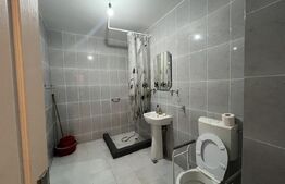 Apartament 2 camere, 56 mp, zona Terra 