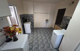 Apartament cu o camera, garaj, gradina, Zona strazii Bucuresti