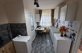 Apartament cu o camera, garaj, gradina, Zona strazii Bucuresti