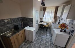 Apartament cu o camera, garaj, gradina, Zona strazii Bucuresti