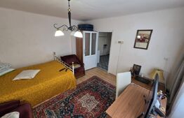 Apartament cu o camera, garaj, gradina, Zona strazii Bucuresti