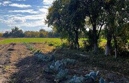 Casă de vânzare, 148.90 mp, zona Nord-Est - Prejmer