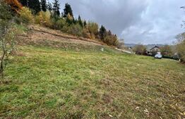 Teren intravilan, 1446 mp, zona Sud-Vest - Zărnești