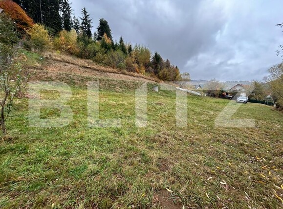 Teren de vânzare Zarnesti - 208834TV | BLITZ Brașov | Poza4