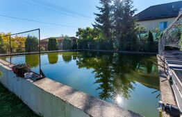 Proprietate rurală complet amenajată 3.971 mp teren Berchieșu, Cluj