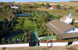 Proprietate rurală complet amenajată 3.971 mp teren Berchieșu, Cluj