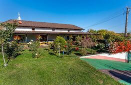 Proprietate rurală complet amenajată 3.971 mp teren Berchieșu, Cluj