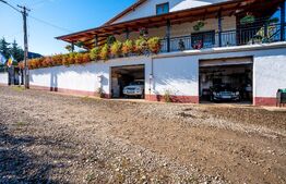 Proprietate rurală complet amenajată 3.971 mp teren Berchieșu, Cluj