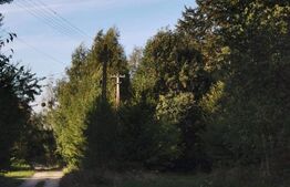 Teren intravilan, 3300 mp, zona Nord - Vistișoara