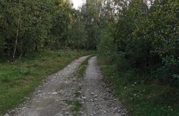 Teren intravilan, 3300 mp, zona Nord - Vistișoara