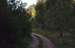 Teren intravilan, 3300 mp, zona Nord - Vistișoara