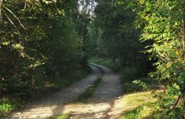 Teren intravilan, 3300 mp, zona Nord - Vistișoara
