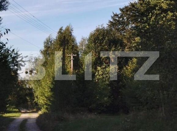 Teren de vânzare Vistisoara - 208981TV | BLITZ Brașov | Poza6