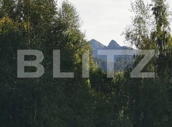 Teren de vânzare Vistisoara - 208981TV | BLITZ Brașov | Poza5