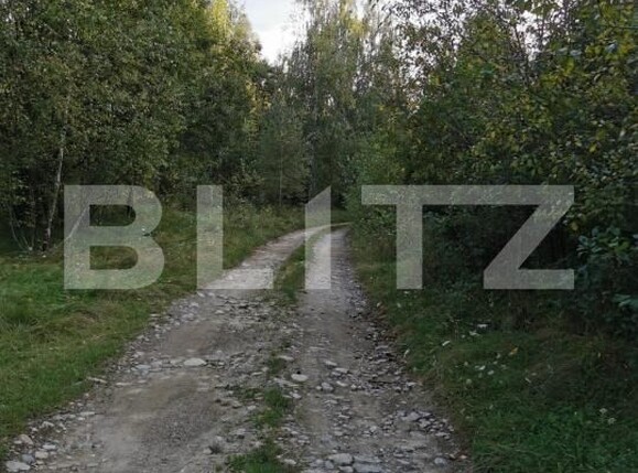 Teren de vânzare Vistisoara - 208981TV | BLITZ Brașov | Poza3