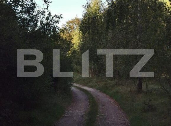 Teren de vânzare Vistisoara - 208981TV | BLITZ Brașov | Poza7