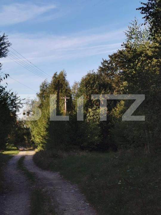 Teren de vânzare Vistisoara - 208981TV | BLITZ Brașov | Poza6
