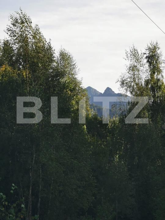 Teren de vânzare Vistisoara - 208981TV | BLITZ Brașov | Poza5