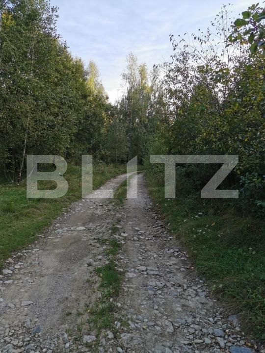 Teren de vânzare Vistisoara - 208981TV | BLITZ Brașov | Poza3