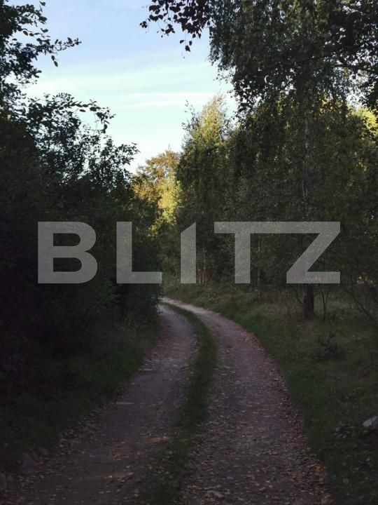 Teren de vânzare Vistisoara - 208981TV | BLITZ Brașov | Poza7