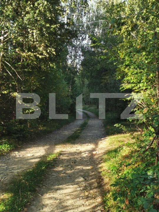 Teren de vânzare Vistisoara - 208981TV | BLITZ Brașov | Poza8
