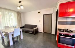 Apartament 3 camere, 60 mp, terasa, dog friendly, Buna Ziua
