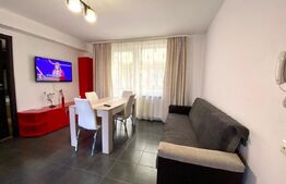 Apartament 3 camere, 60 mp, terasa, dog friendly, Buna Ziua
