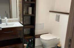 Apartament 2 camere, 40 mp, petfriendly, zona Vivo