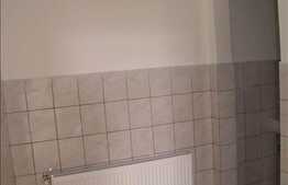 180 mp + 120 mp terasa,la pret excelent in zona cu potential!