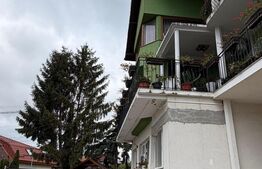 Apartament la casa, 2 camere, 62 mp, Dambul Rotund