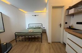 Garsonieră de vânzare 18 mp, zona Centrul Istoric Brașov 