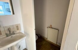 Spatiu comercial, vad excelent, 40 mp, Manastur