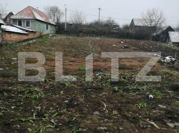 Casa de vânzare 3 camere Badeni - 209161CV | BLITZ Cluj-Napoca | Poza2