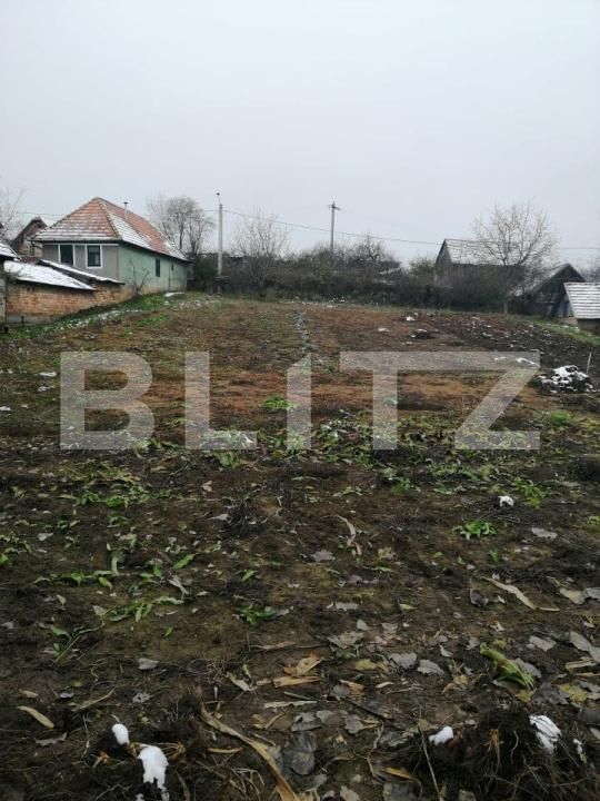 Casa de vânzare 3 camere Badeni - 209161CV | BLITZ Cluj-Napoca | Poza2