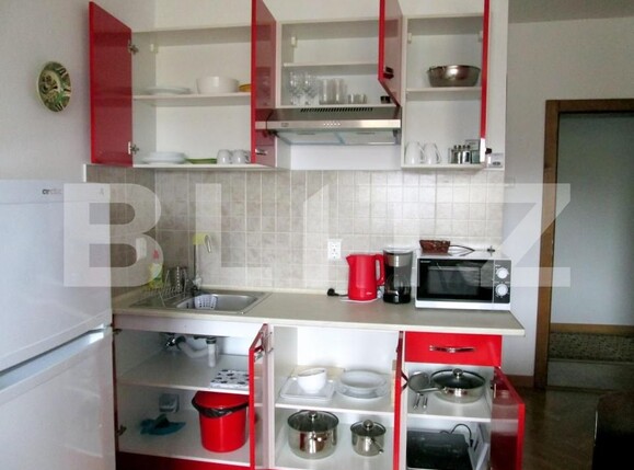 Apartament de închiriat 2 camere Brasovul Vechi - 209198AI | BLITZ Brașov | Poza3