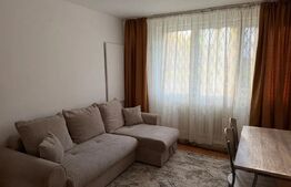Apartament de inchiriat, 50 mp, zona USAMV