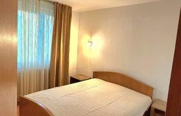 Apartament de inchiriat, 2 camere, zona USAMV