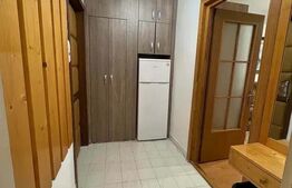 Apartament de inchiriat, 2 camere, zona USAMV