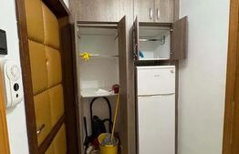 Apartament de inchiriat, 50 mp, zona USAMV