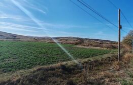 Teren extravilan 8300 mp, in Craesti