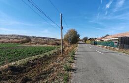Teren extravilan 8300 mp, in Craesti