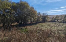 Teren extravilan, 9000 mp, zona Craesti