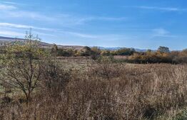 Teren extravilan, 9000 mp, zona Craesti