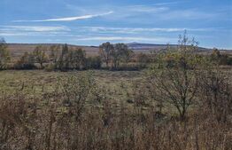 Teren extravilan, 9000 mp, zona Craesti