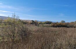 Teren extravilan, 9000 mp, zona Craesti