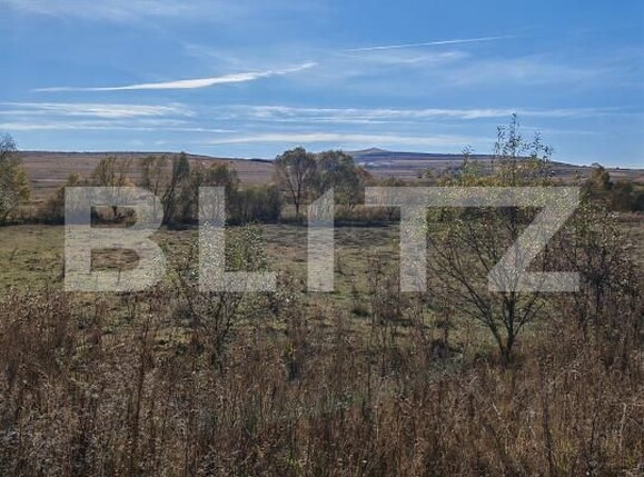 Teren de vânzare Craesti - 209219TV | BLITZ Cluj-Napoca | Poza2