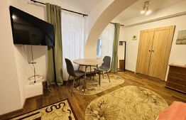 Apartament cu 1 cameră, 30 mp, zona Centrală