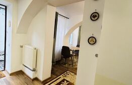 Apartament cu 1 cameră, 30 mp, zona Centrală