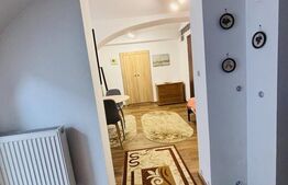 Apartament cu 1 cameră, 30 mp, zona Centrală